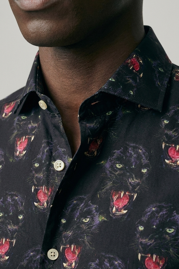 Cotone Modena - Detail