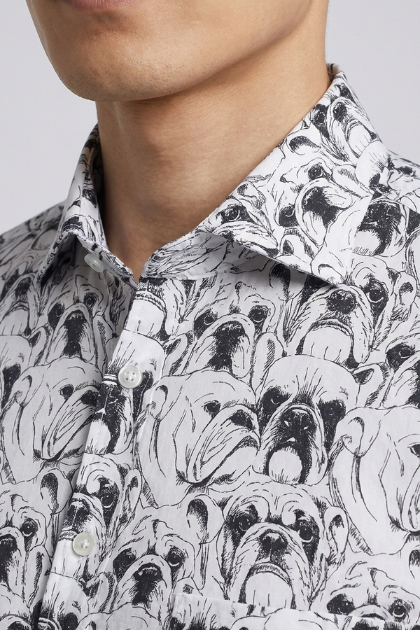 Cotone Parma - Detail